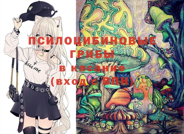 ГАЛЛЮЦИНОГЕННЫЕ ГРИБЫ Переславль-Залесский