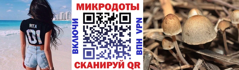 Псилоцибиновые грибы ЛСД  Ишимбай 